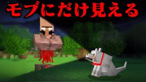 モブだけが見えるマイクラ都市伝説を検証してみた【まいくら・マインクラフト】