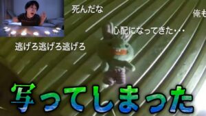 【都市伝説】ひとりかくれんぼをして行方不明になった人の配信がヤバすぎた