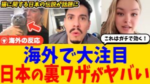 海外で話題沸騰！都市伝説的「日本式迷い猫メソッド」とは？